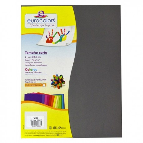 Papel Carta Gris 75 gr c/100