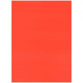 Cartulina Fluorescente 47.5 x 65.5 cm Rojo