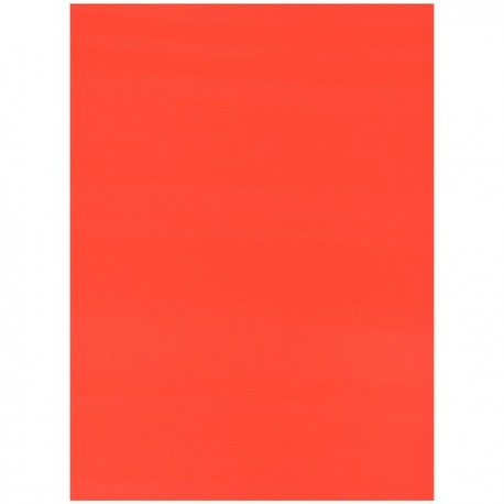 Cartulina Fluorescente 47.5 x 65.5 cm Rojo